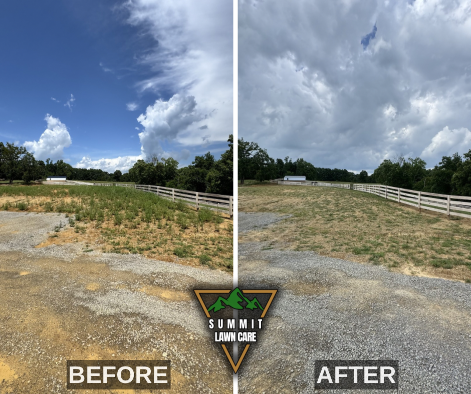 Before and After.png