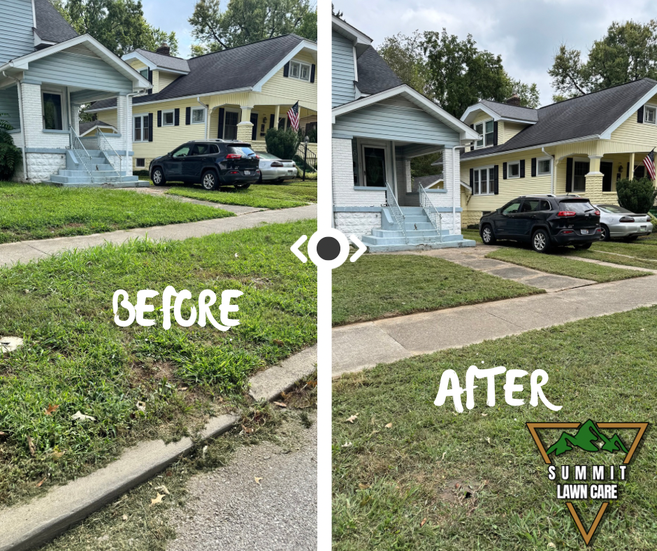 Copy of Simple Before and After LUT Slider Post Facebook Post.png