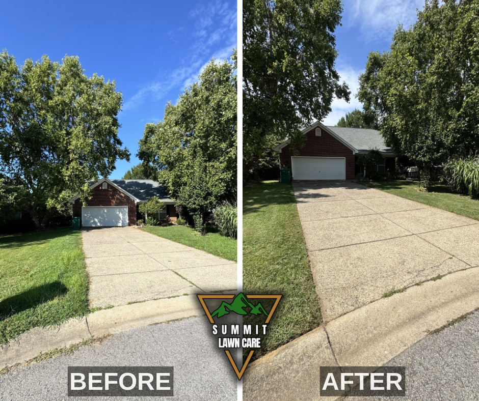 Before and After.png