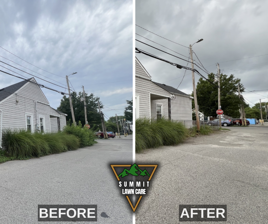 Before and After.png