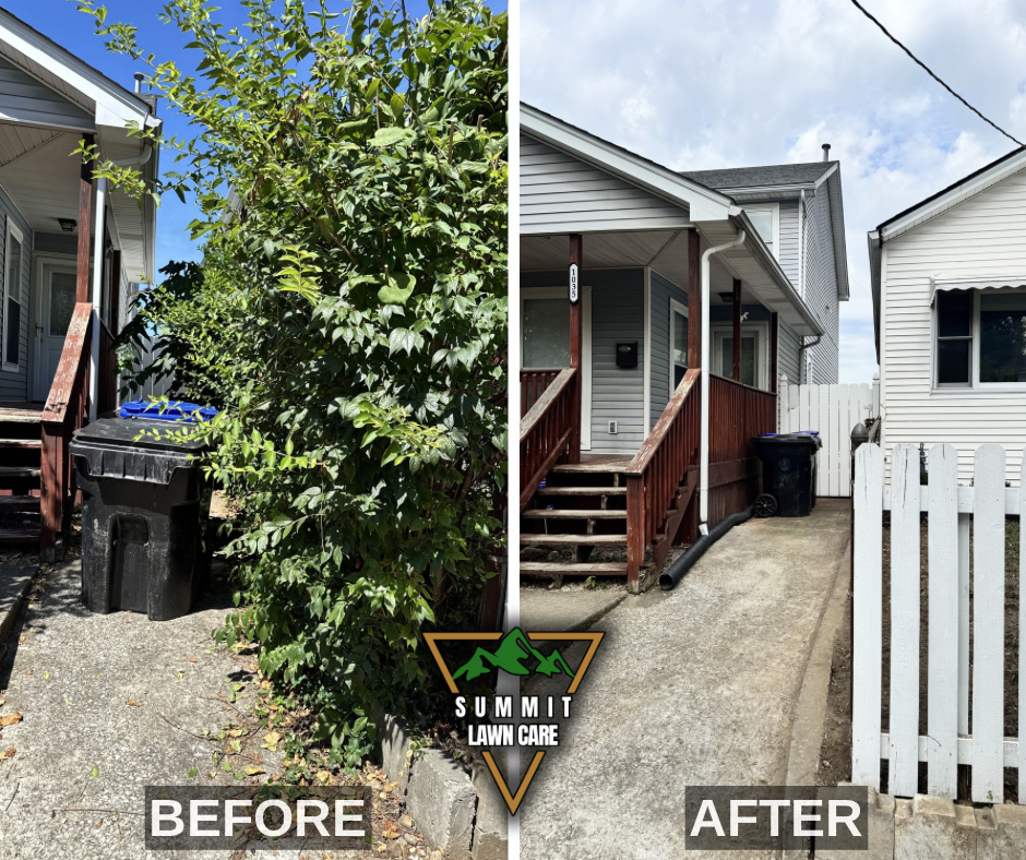 Before and After.png