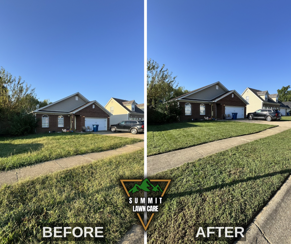Before and After.png
