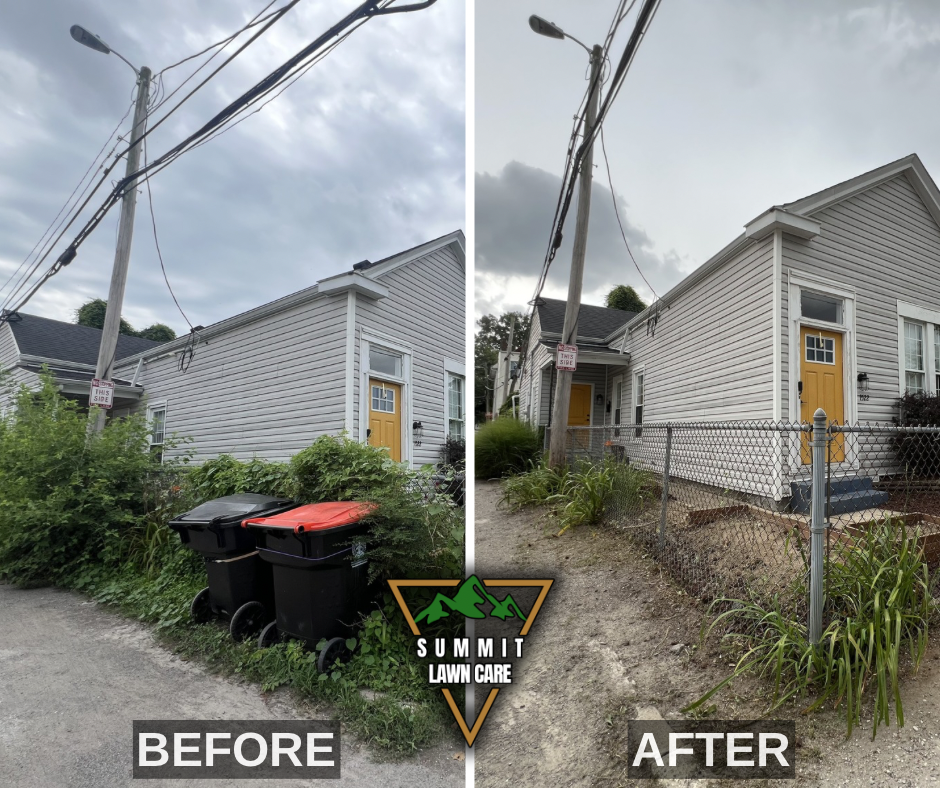 Before and After.png
