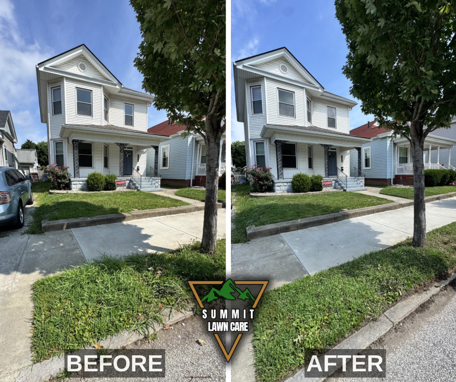Before and After.png