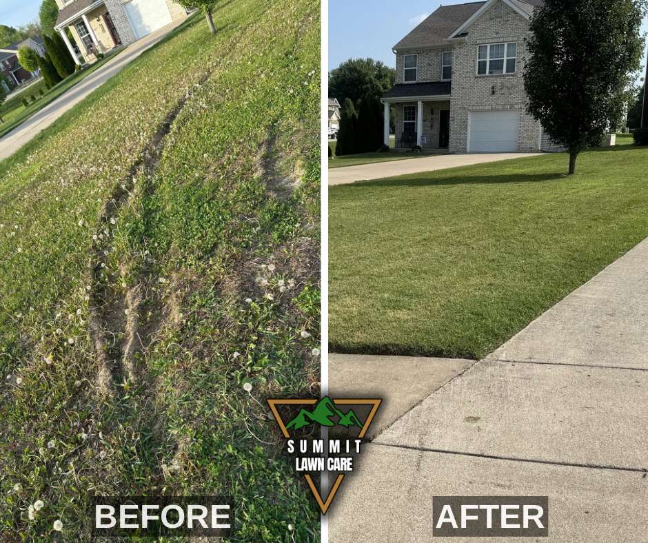 Before and After.png