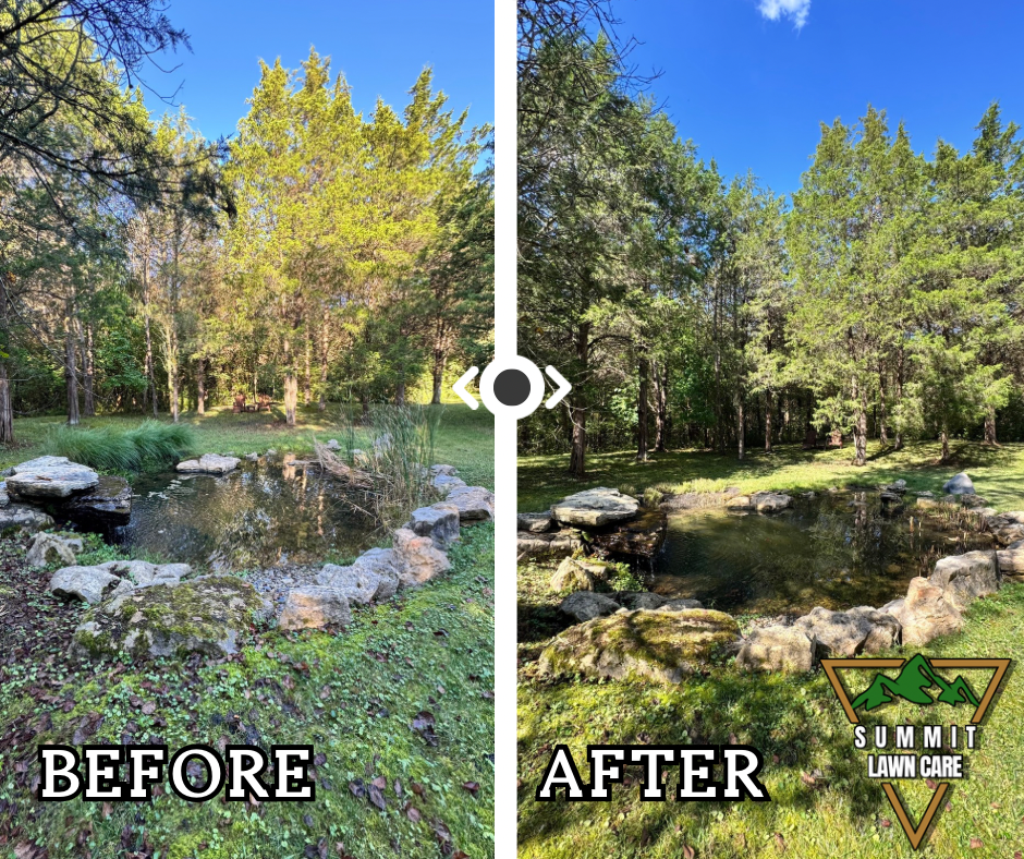 Copy of Simple Before and After LUT Slider Post Facebook Post.png