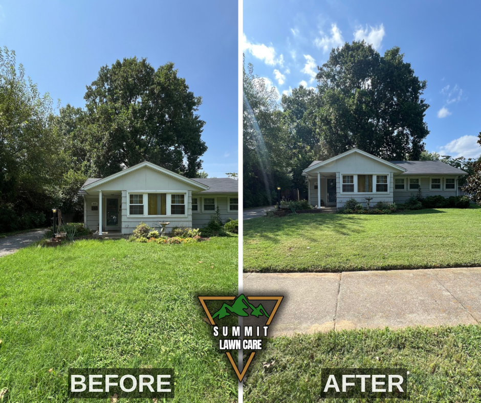 Before and After.png