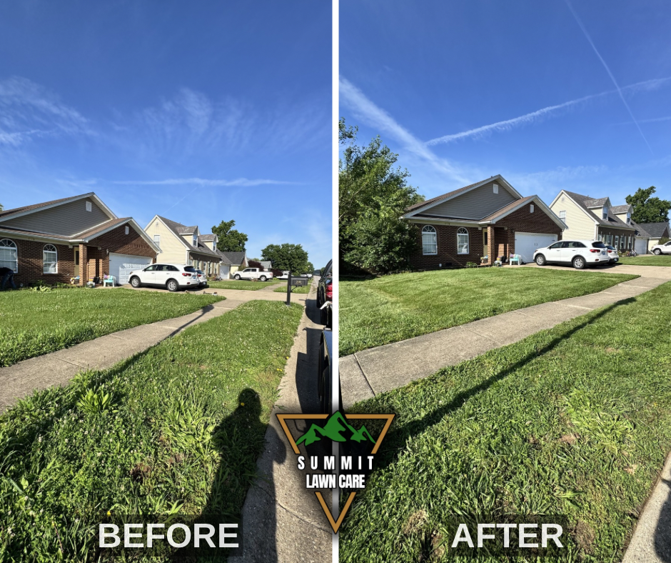 Before and After.png