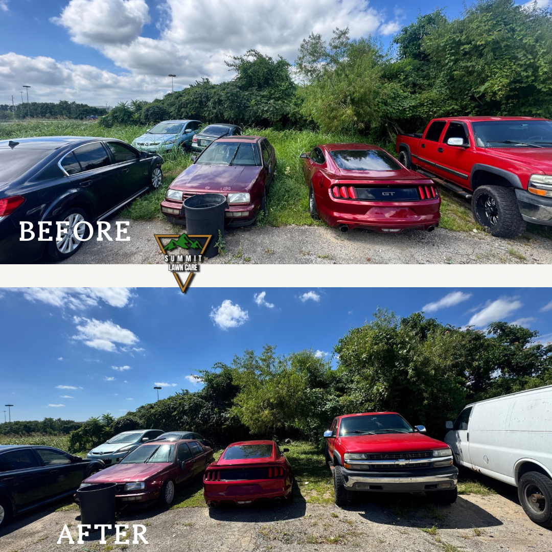 Home Decoration and Interior Design Quote Instagram Post Template with Two Kitchen Images.png