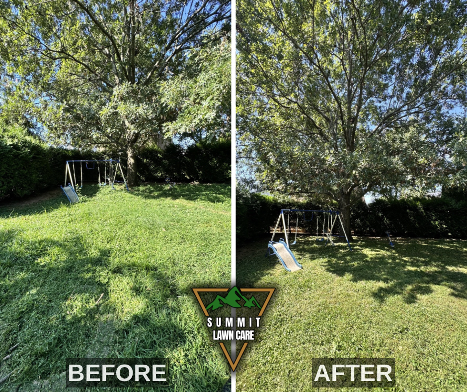 Before and After.png