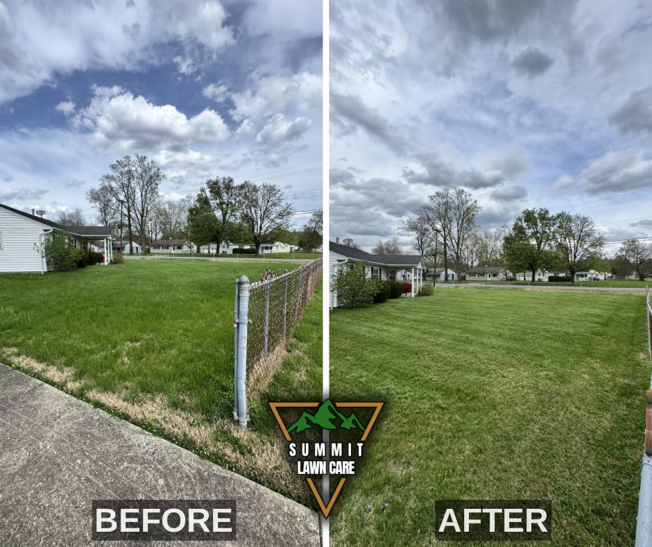 Before and After.png
