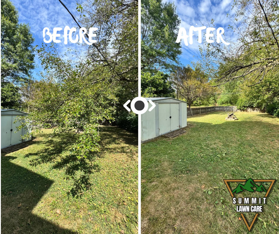 Simple Before and After LUT Slider Post Facebook Post.png