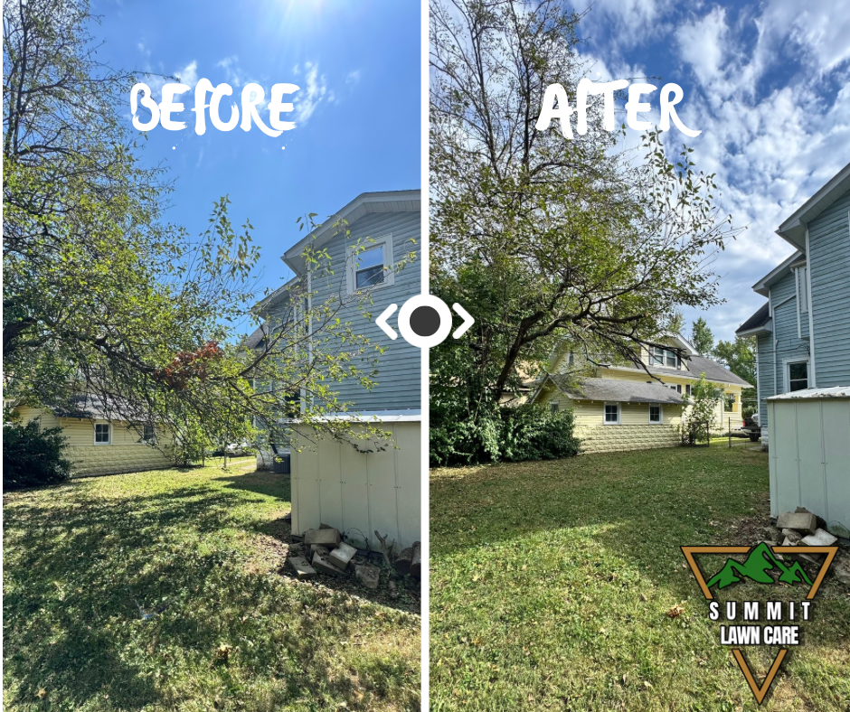 Simple Before and After LUT Slider Post Facebook Post.png