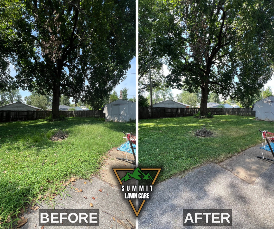 Before and After.png