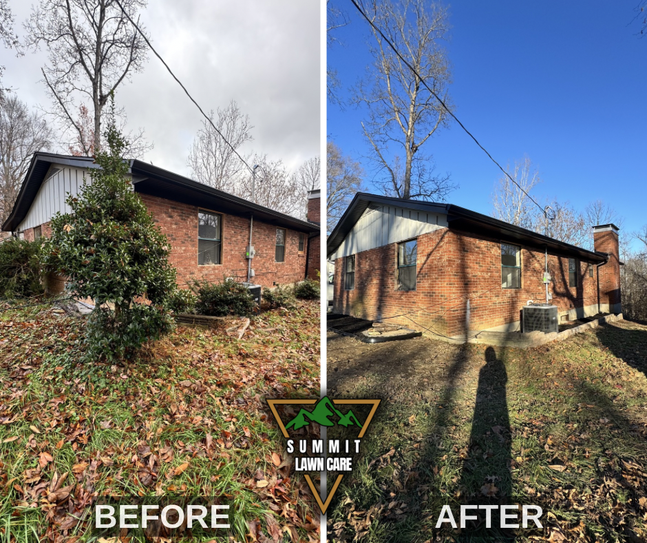 Before and After.png
