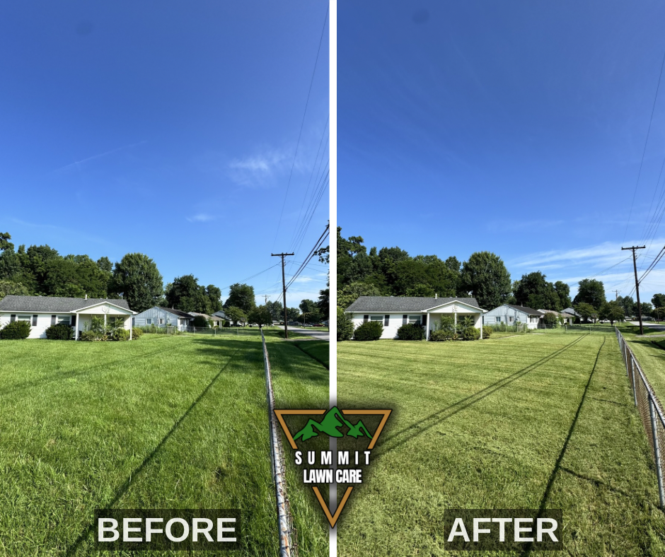 Before and After.png