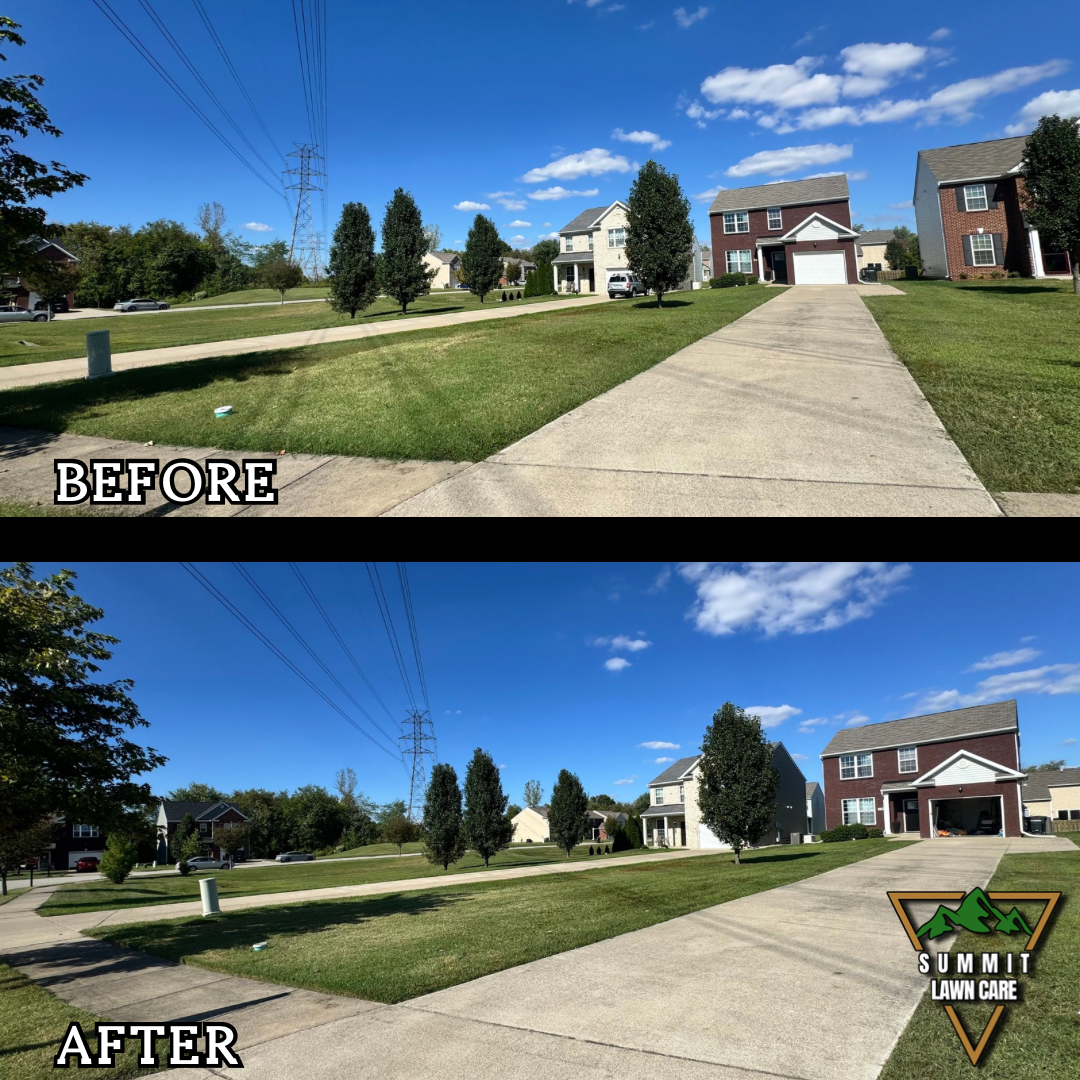 Home Decoration and Interior Design Quote Instagram Post Template with Two Kitchen Images.png