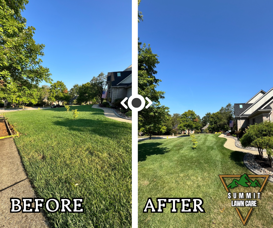 Copy of Simple Before and After LUT Slider Post Facebook Post.png