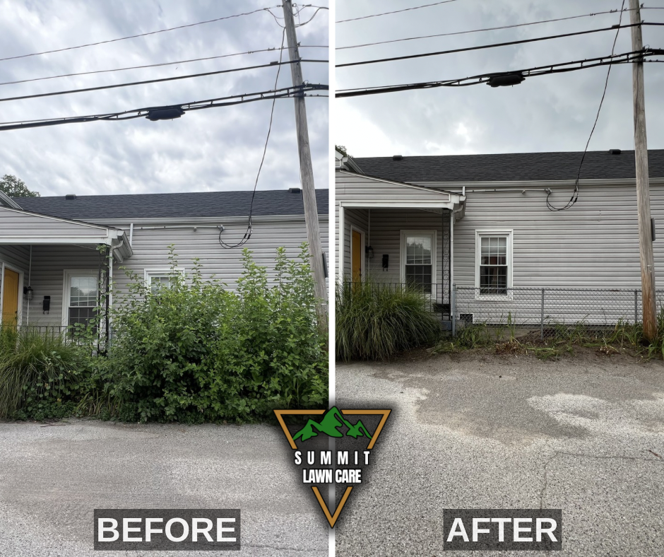 Before and After.png
