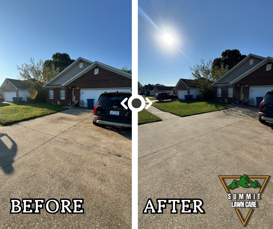 Copy of Simple Before and After LUT Slider Post Facebook Post.png