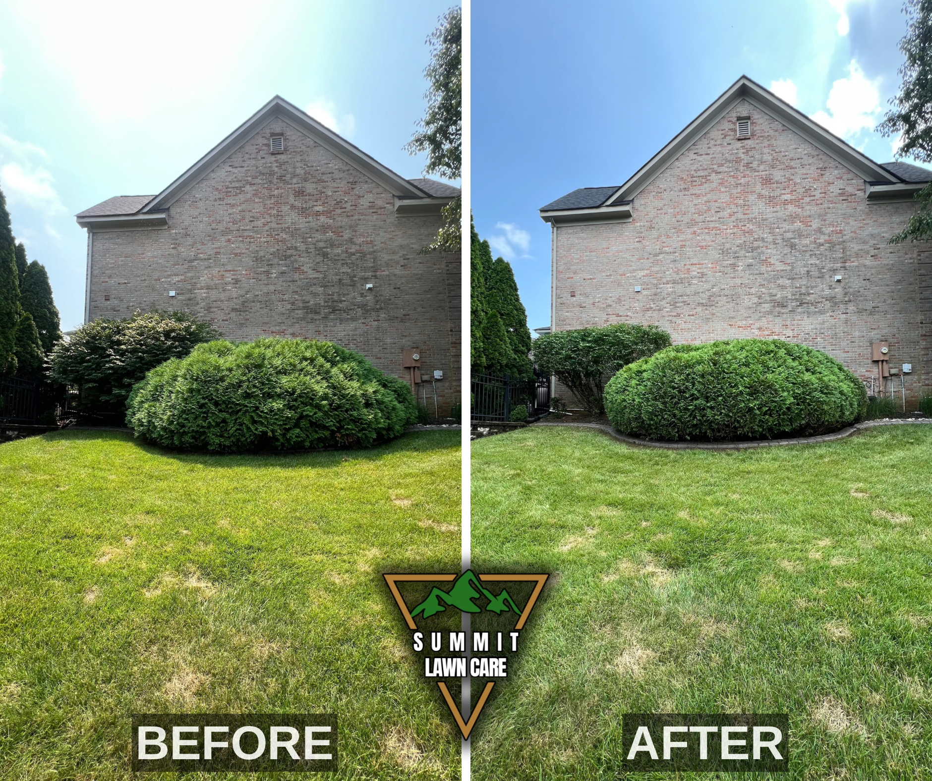 Before and After.png