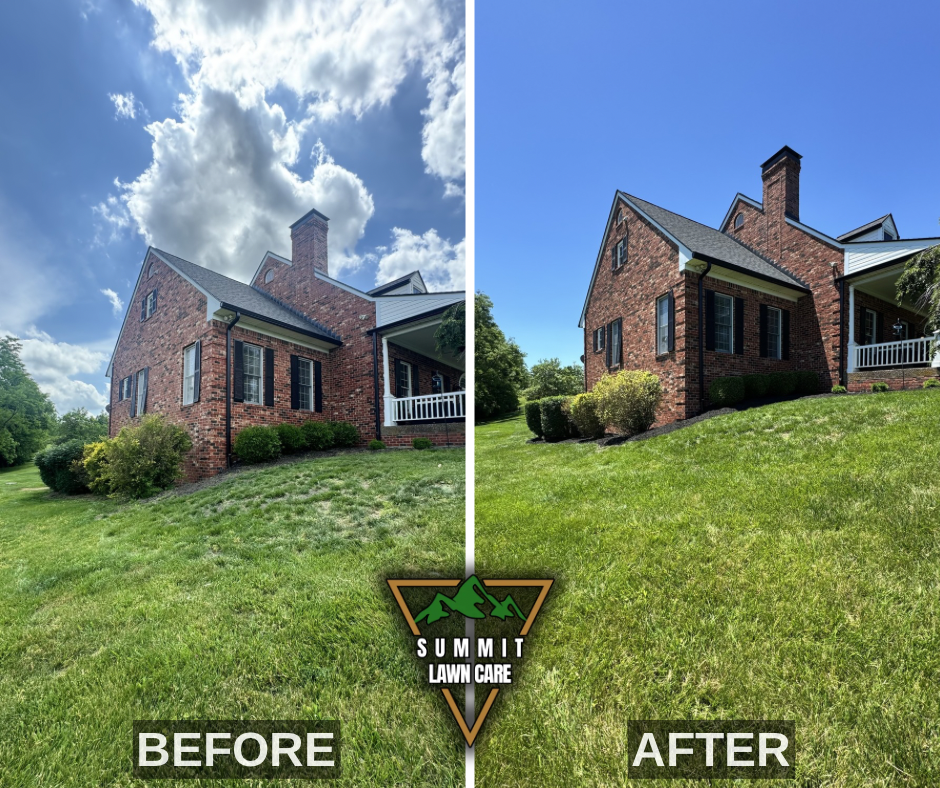 Before and After.png