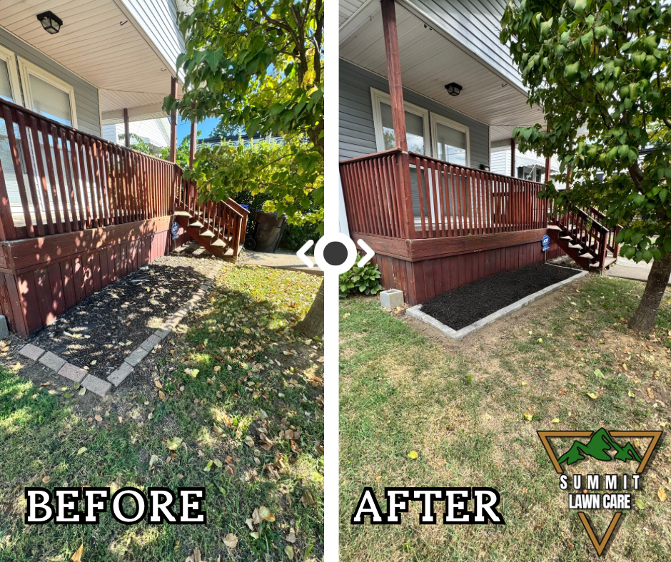 Copy of Simple Before and After LUT Slider Post Facebook Post.png