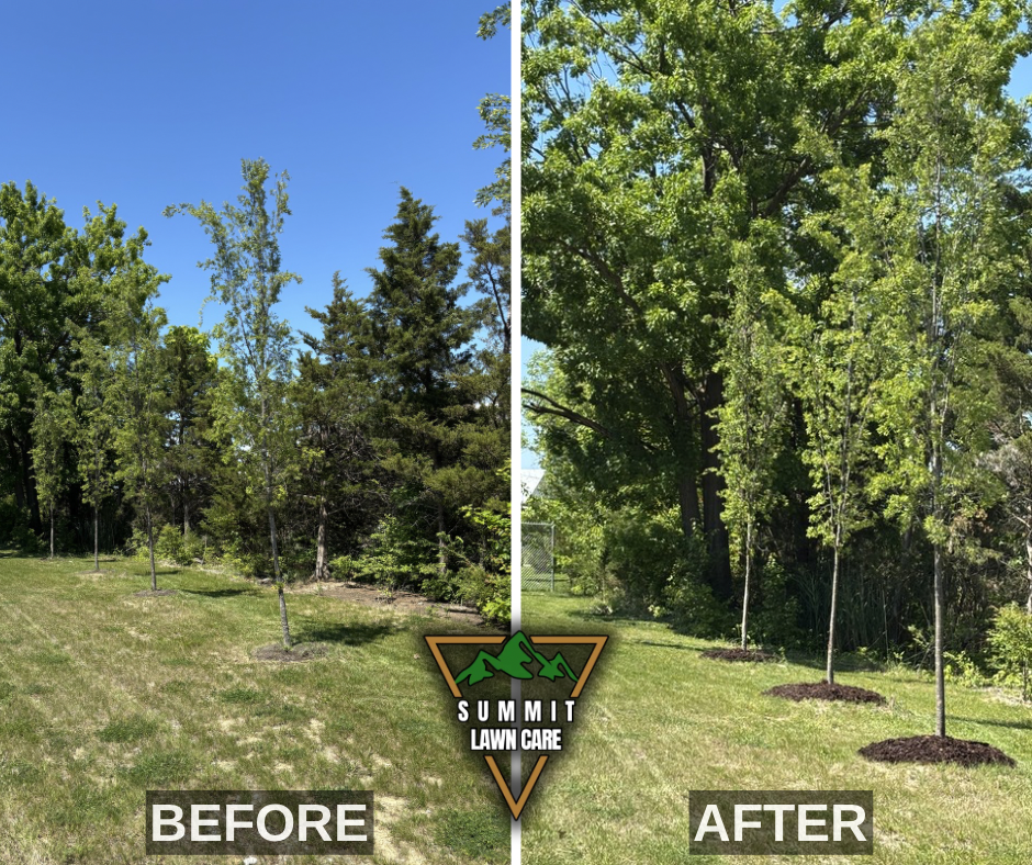 Before and After.png