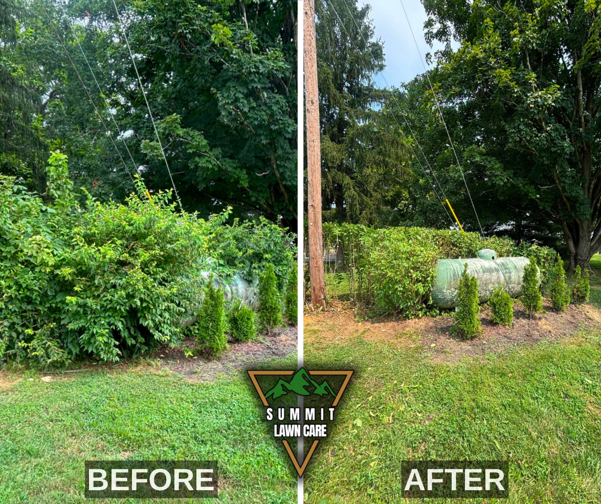Before and After.png