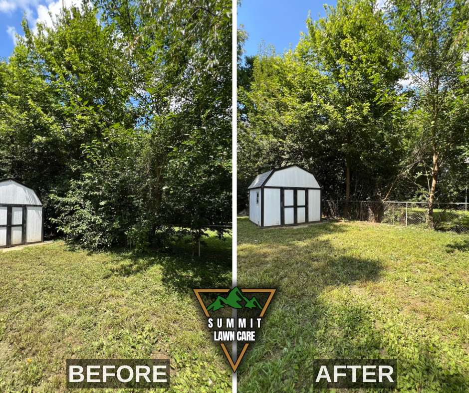 Before and After.png