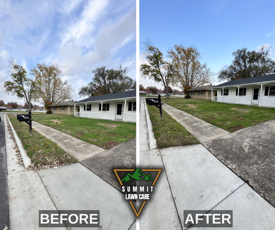 Before and After.png