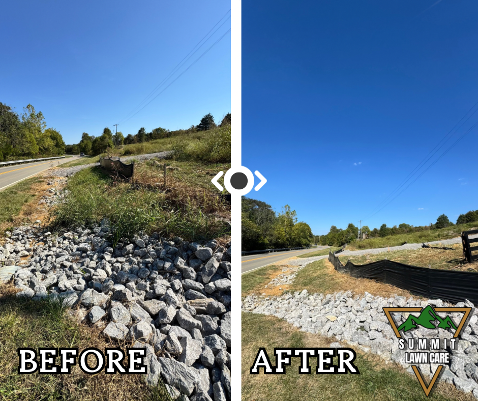 Copy of Simple Before and After LUT Slider Post Facebook Post.png