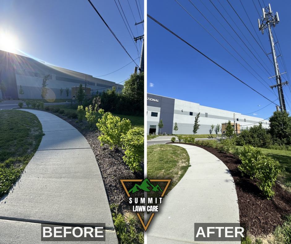 Before and After.png