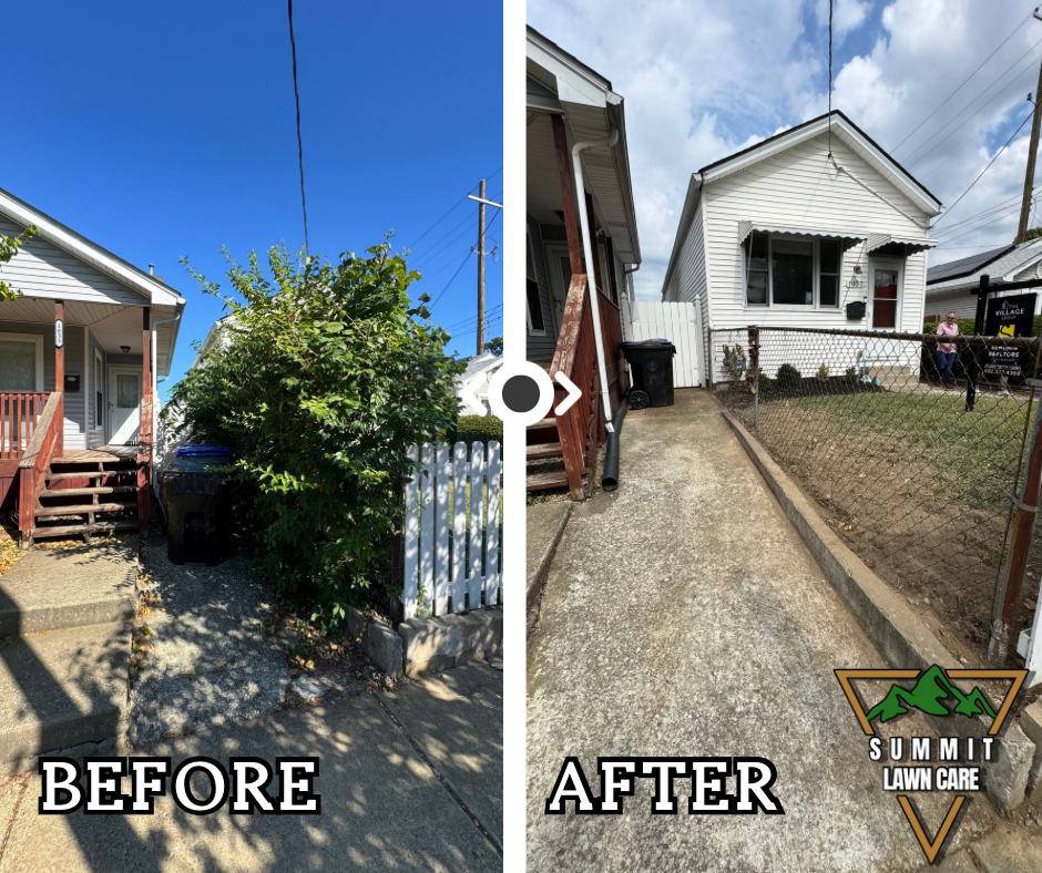 Copy of Simple Before and After LUT Slider Post Facebook Post.png