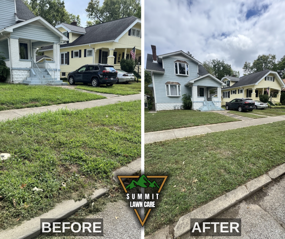 Before and After.png