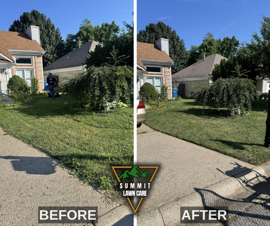 Before and After.png