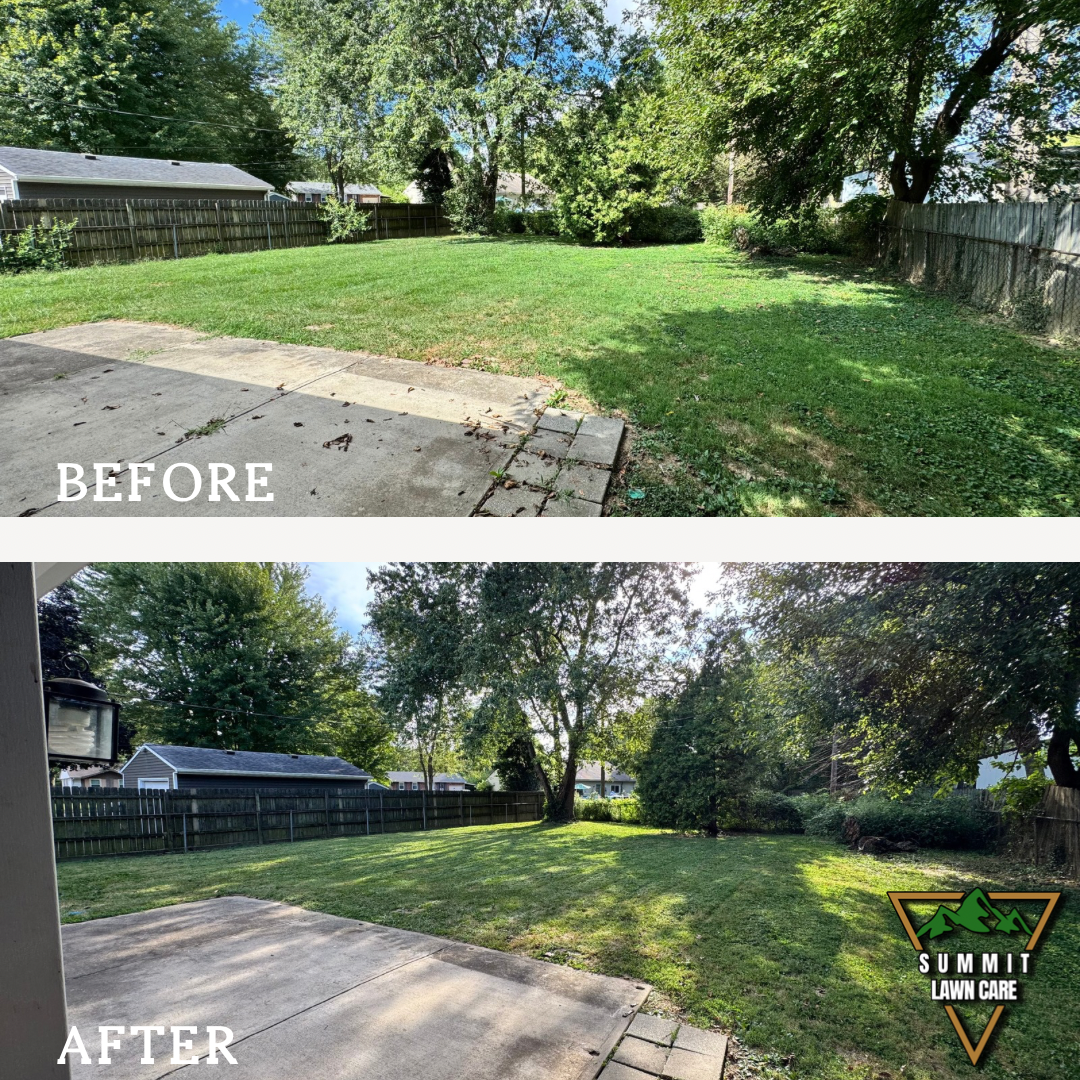 Home Decoration and Interior Design Quote Instagram Post Template with Two Kitchen Images.png