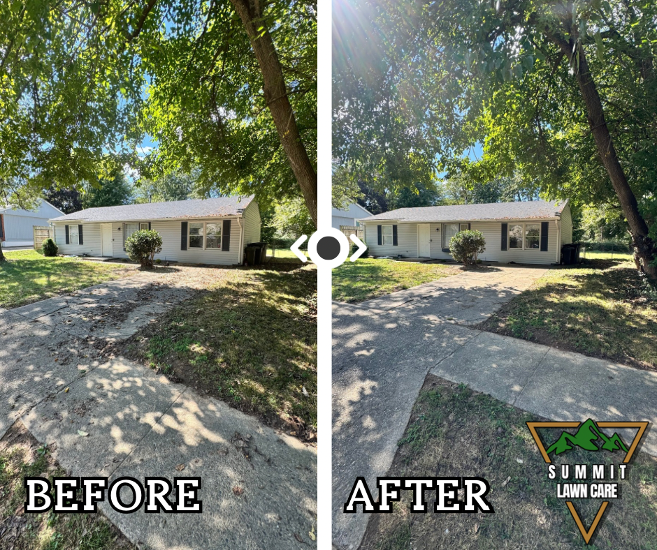 Copy of Simple Before and After LUT Slider Post Facebook Post.png