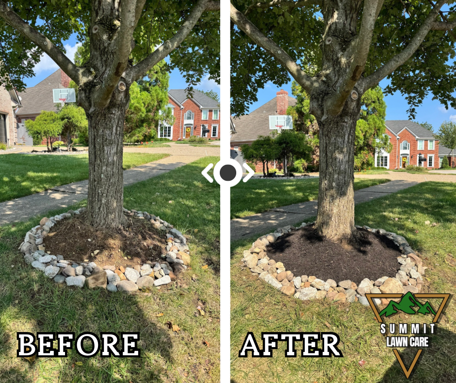 Copy of Simple Before and After LUT Slider Post Facebook Post.png