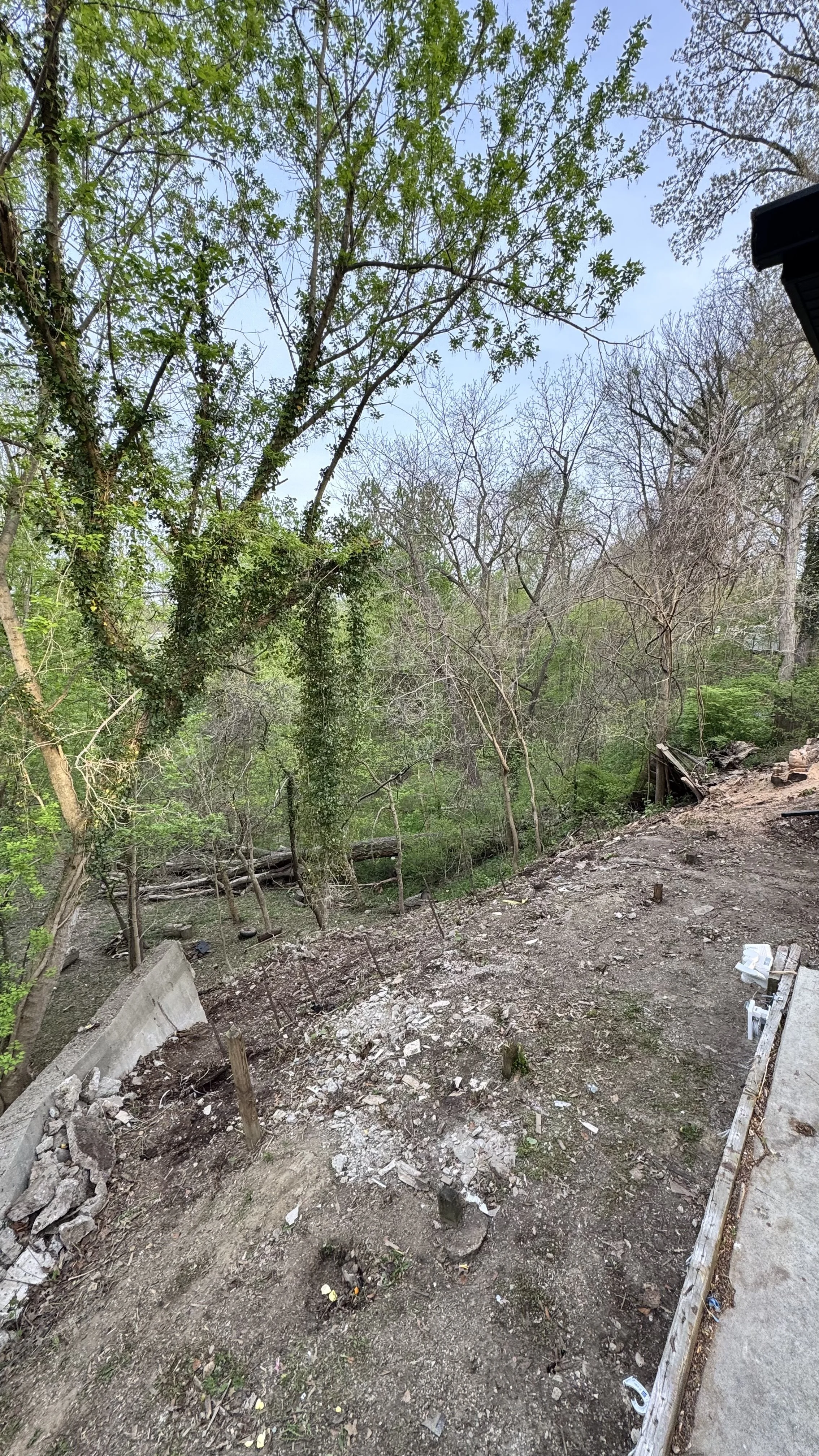 Property clean up