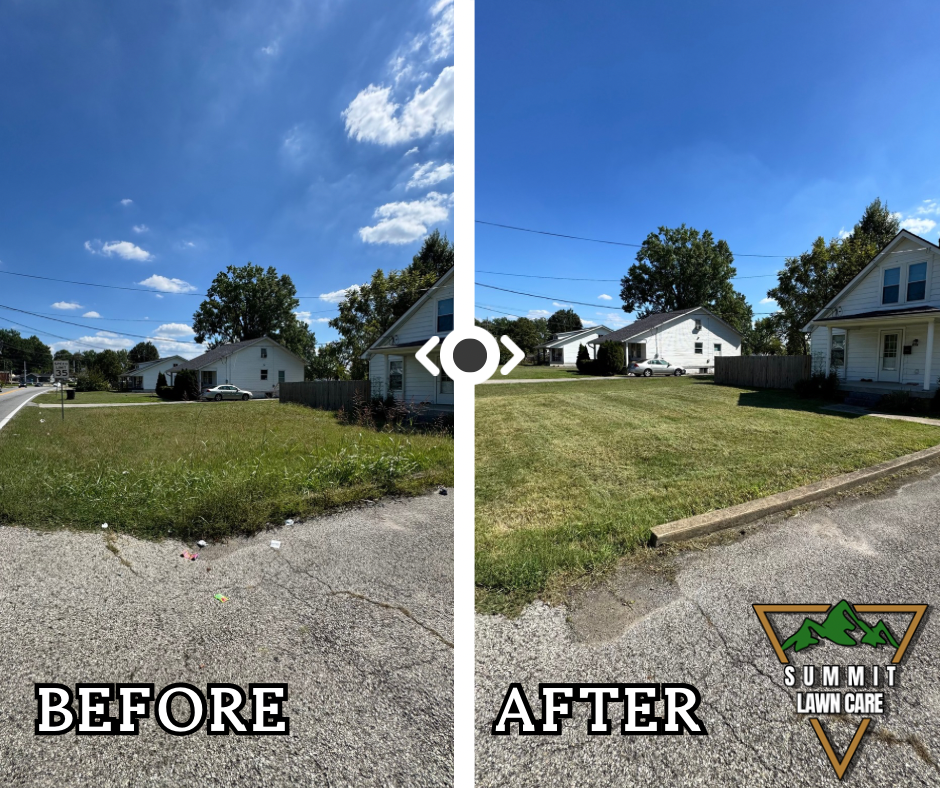 Copy of Simple Before and After LUT Slider Post Facebook Post.png