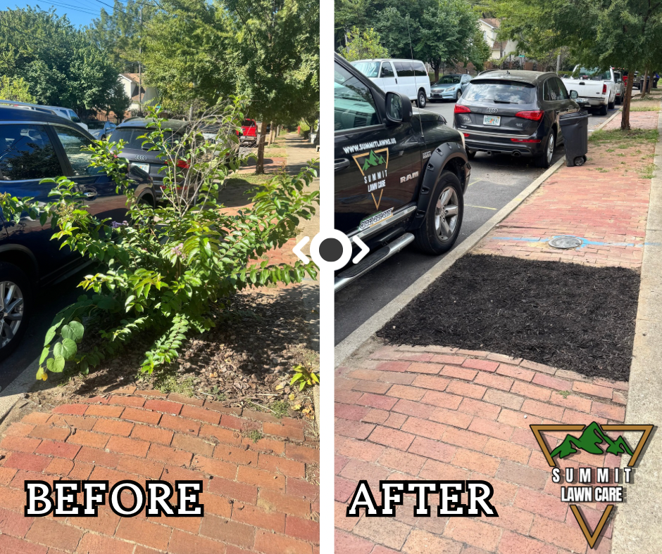 Copy of Simple Before and After LUT Slider Post Facebook Post.png