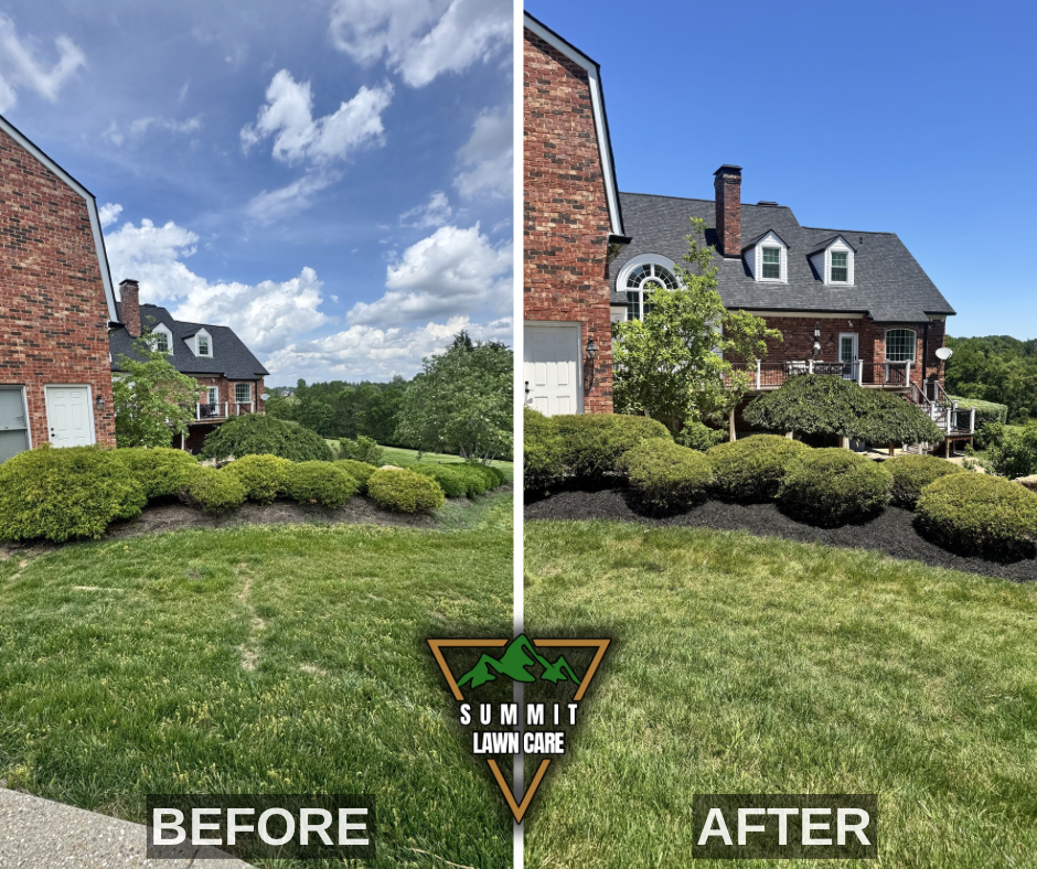 Before and After.png