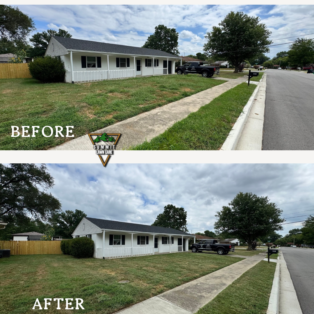 Home Decoration and Interior Design Quote Instagram Post Template with Two Kitchen Images.png