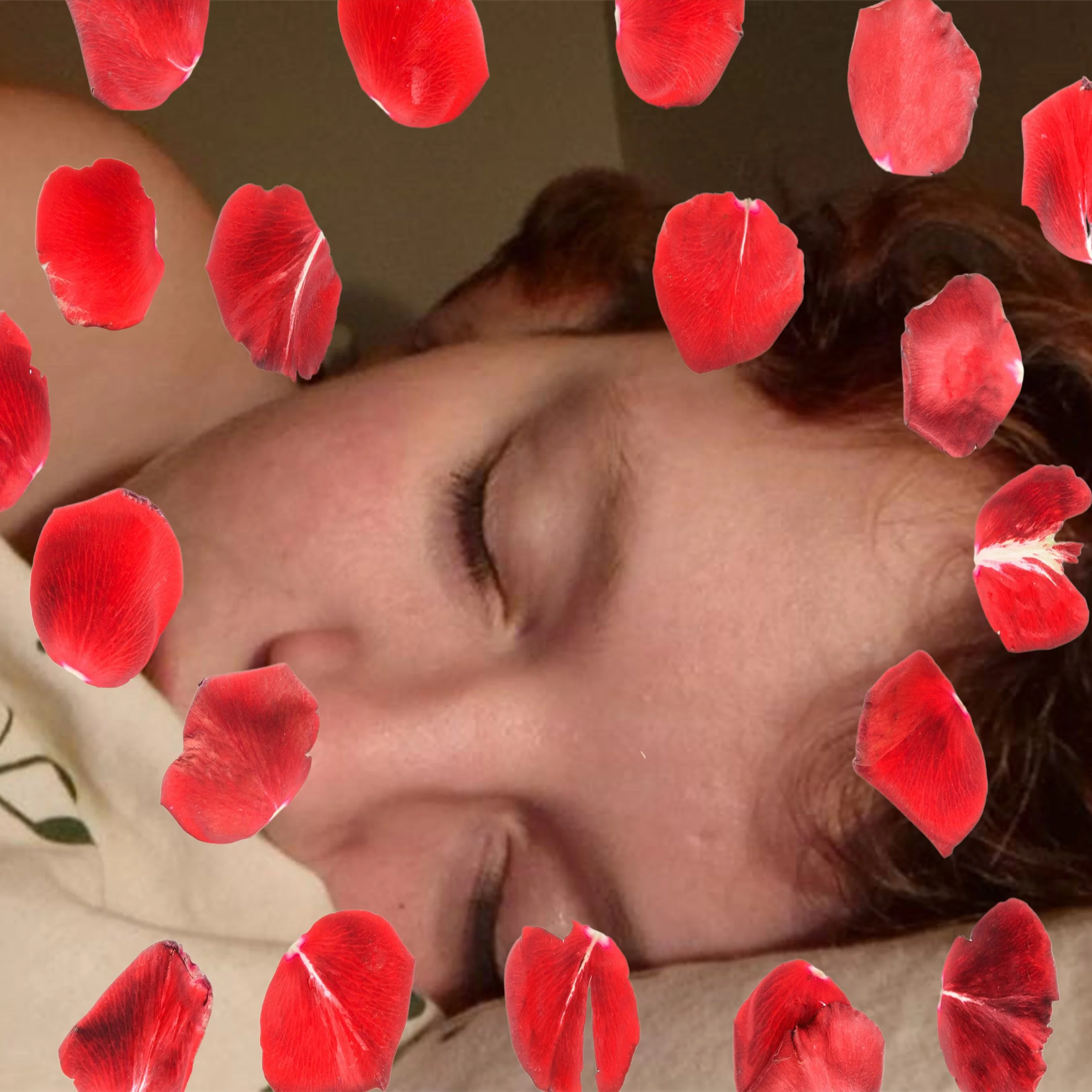 En person sover, med ögonen stängda, omgiven av röda rosenblad.
