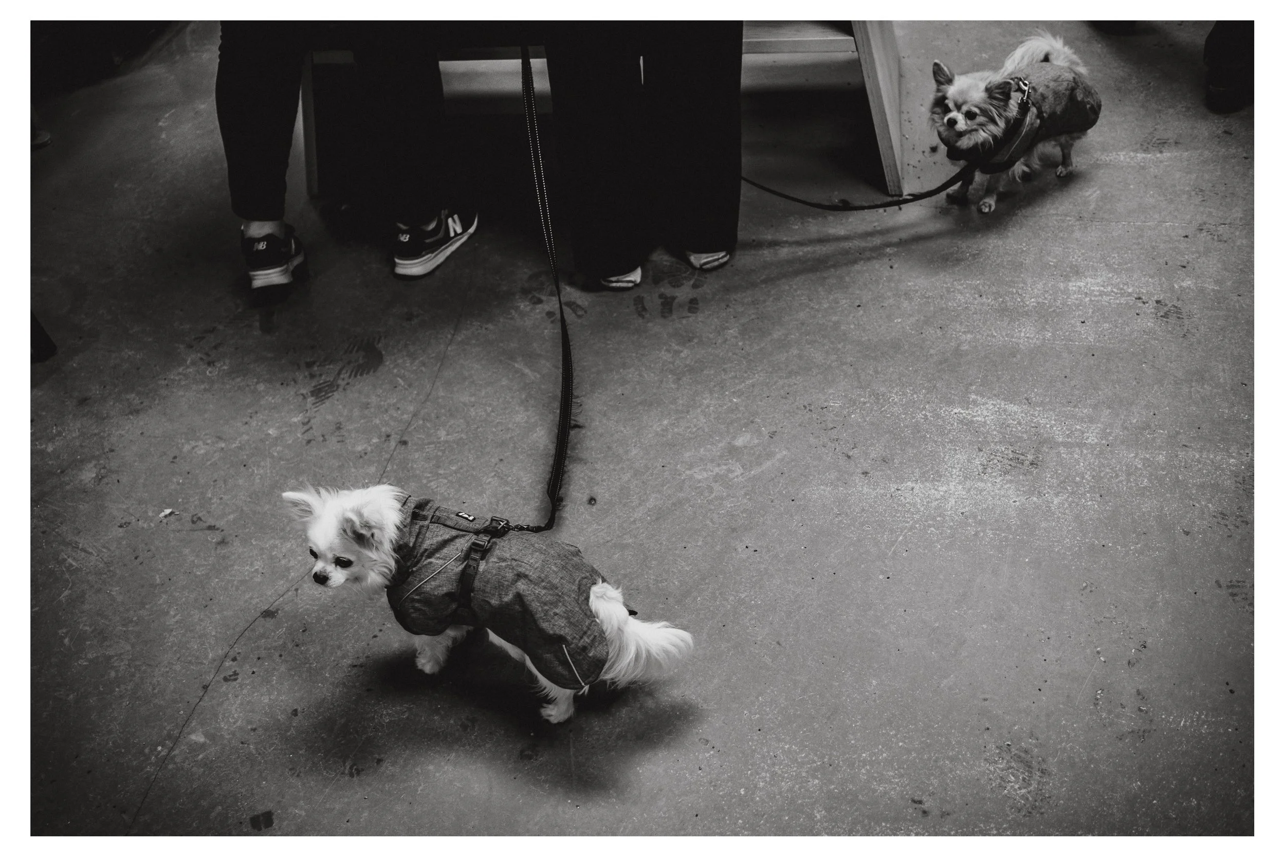 I bokhandeln. 12/02/2026