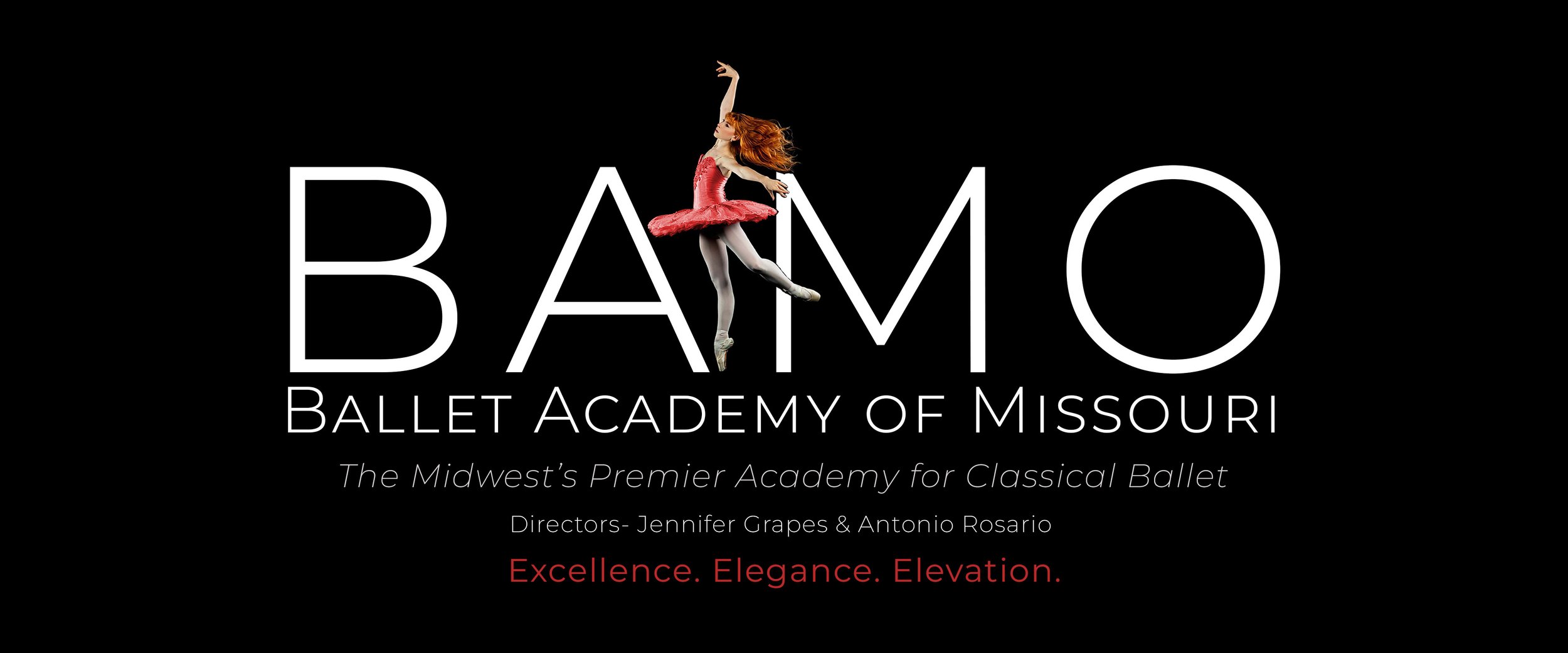 BAMO Logo 6-16 (2).jpg