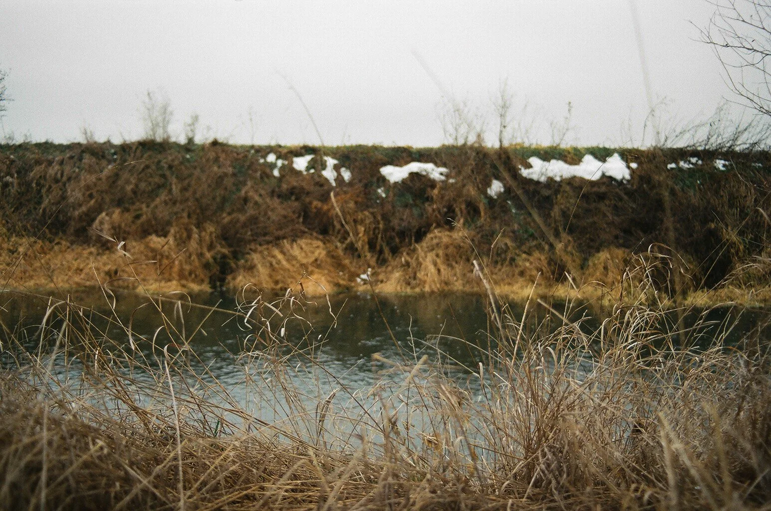 I grew up next to this creek on my father's farm.