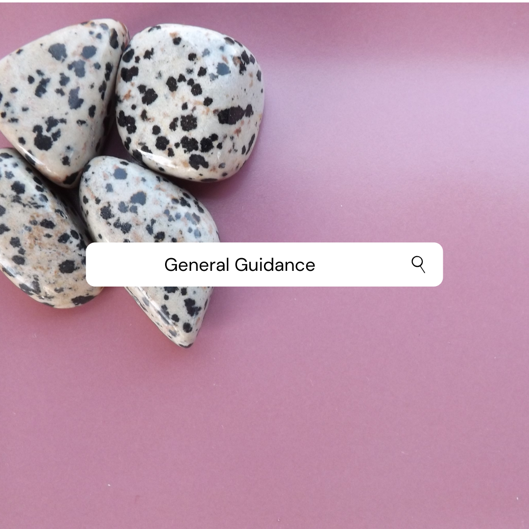 General Guidance (Mini)