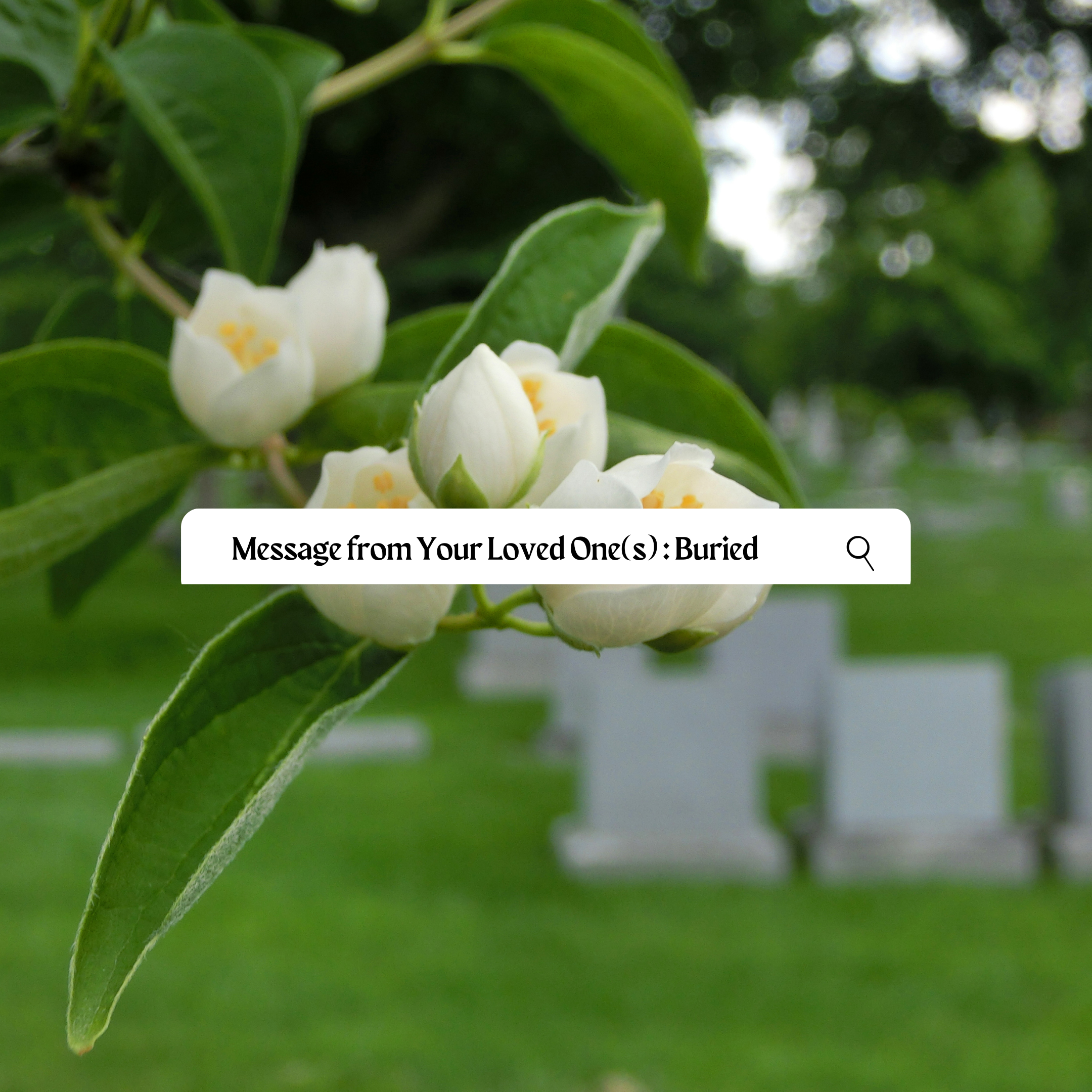 Messages from Your Loved Ones: Buried